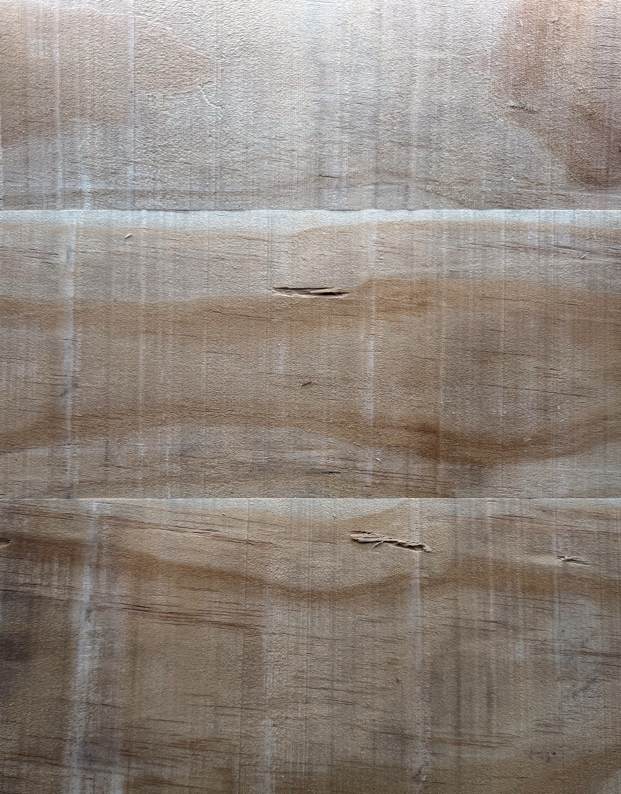 Accoya | Rough Sawn | Unfinished | 227 sqft