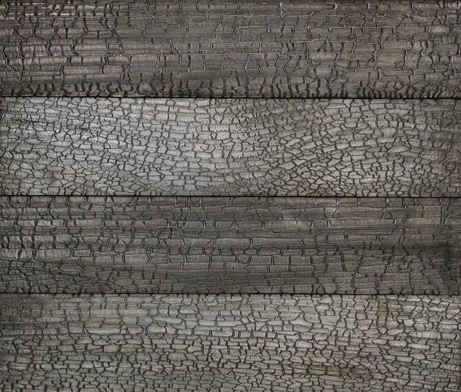 Accoya | SSB | Delta Gator | 1466 sqft