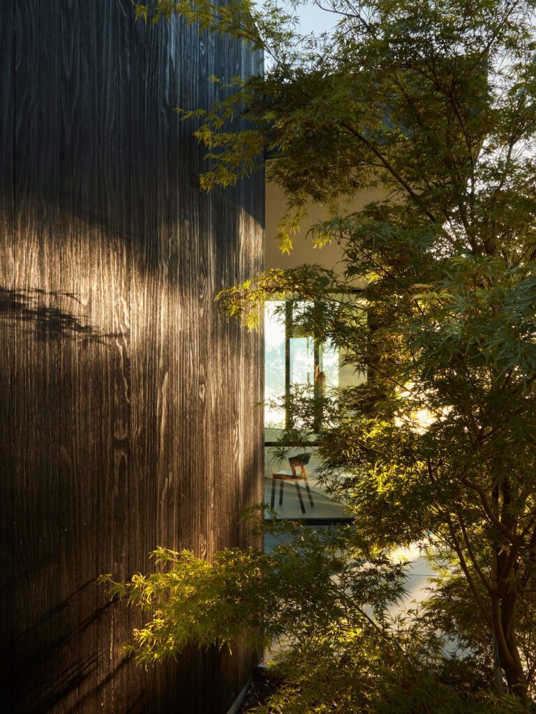 Accoya Siding