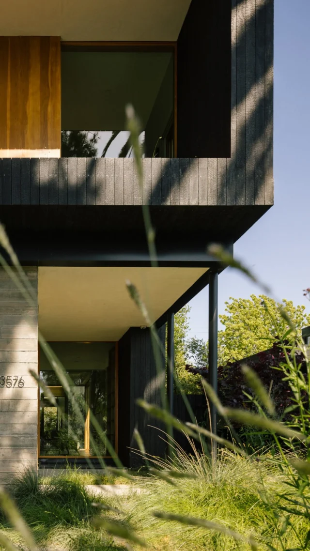 Hither Hills house in Montauk cascades into the foliage - Delta