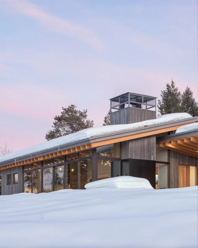 Hither Hills house in Montauk cascades into the foliage - Delta